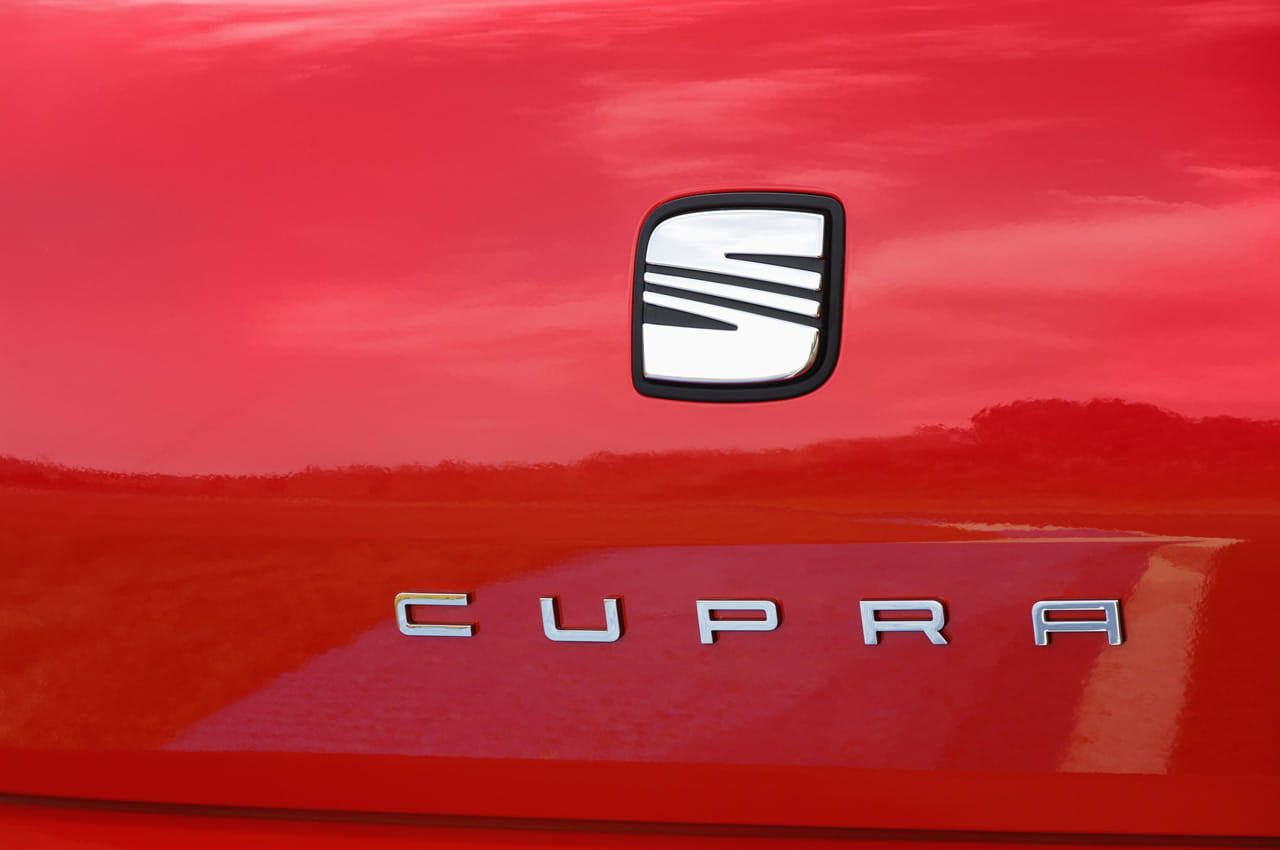 Seat Ibiza Cupra - Detalles 1