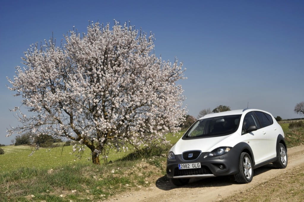 Seat Altea freetrack