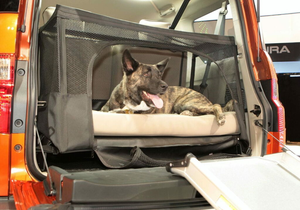 Honda Element Concept Dog Friendly