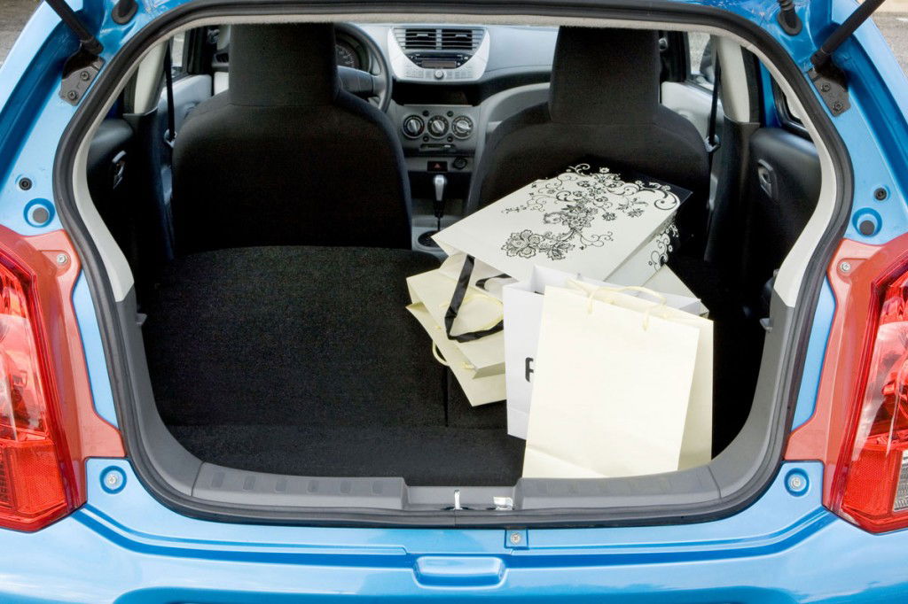 suzuki-alto-25