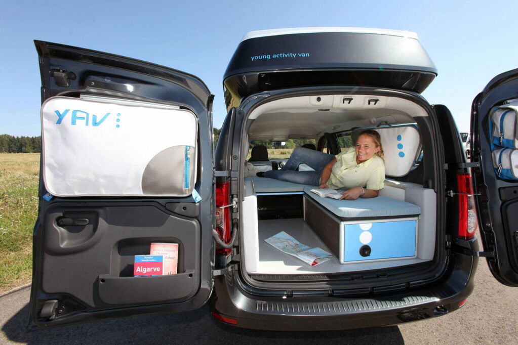 Dacia Young Activity Van III