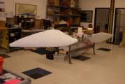 Blackbird