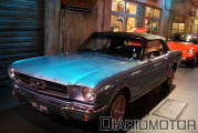 megaweb-mustang