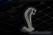 Shelby-Mustang-GT500-79