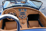 ac-cobra-2011-2