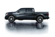 2012_harley_davidson_f-150-03