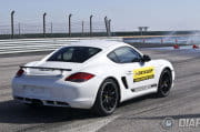Dunlop Experts Team