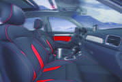 Audi Q3 Vail /Detail
