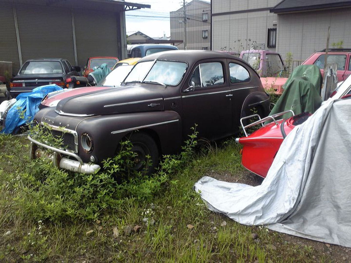 proauto-japan-11.jpg