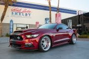 shelby-super-snake-2015-5-180x120.jpg
