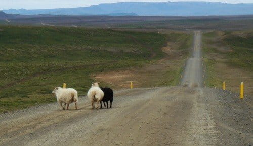 Hringvegur: La carretera de circunvalación de Islandia