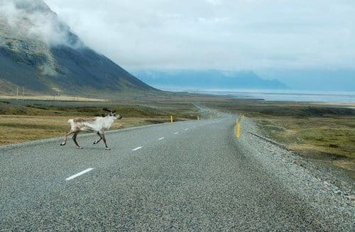 Hringvegur: La carretera de circunvalación de Islandia