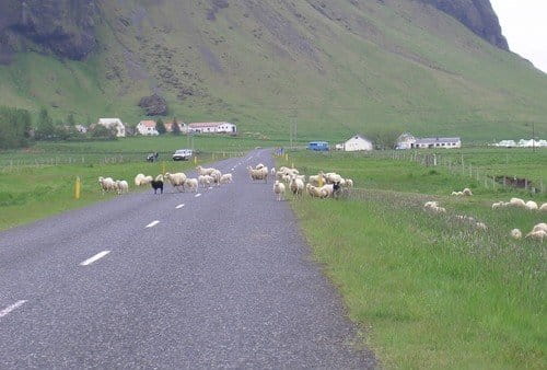 Hringvegur: La carretera de circunvalación de Islandia