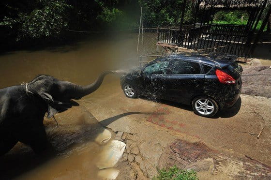 La vuelta a medio mundo en un Ford Fiesta