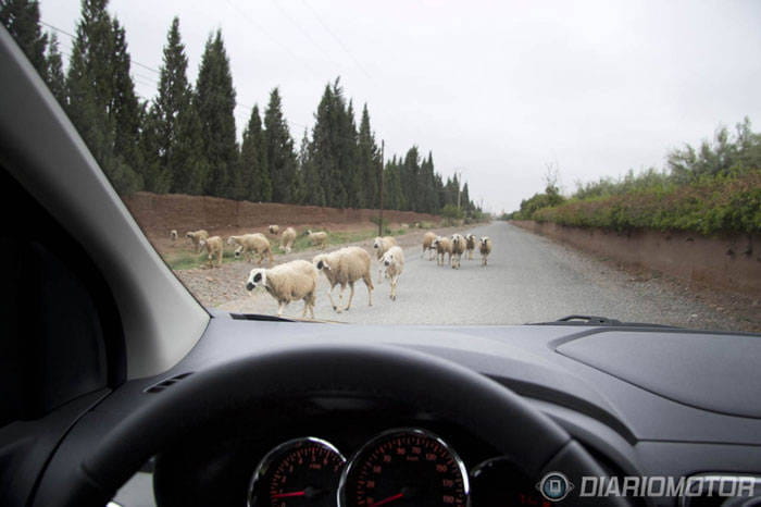 Prueba Dacia Lodgy siete plazas