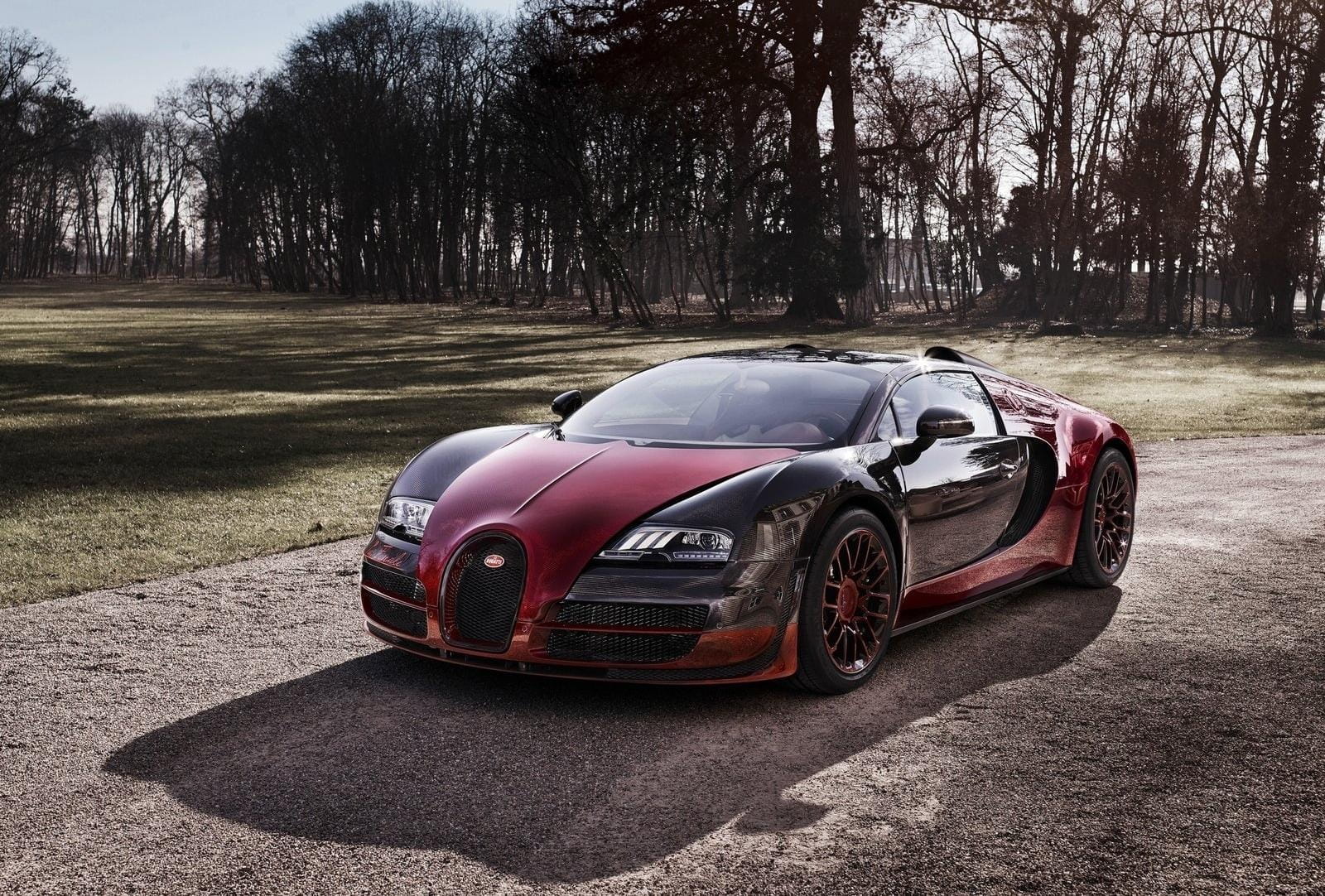 Vista delantera y lateral de un Bugatti Veyron, destacando su diseño aerodinámico.