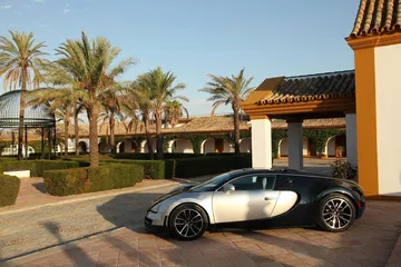 Vista lateral de un Bugatti Veyron estacionado, lujo y potencia en armonía.