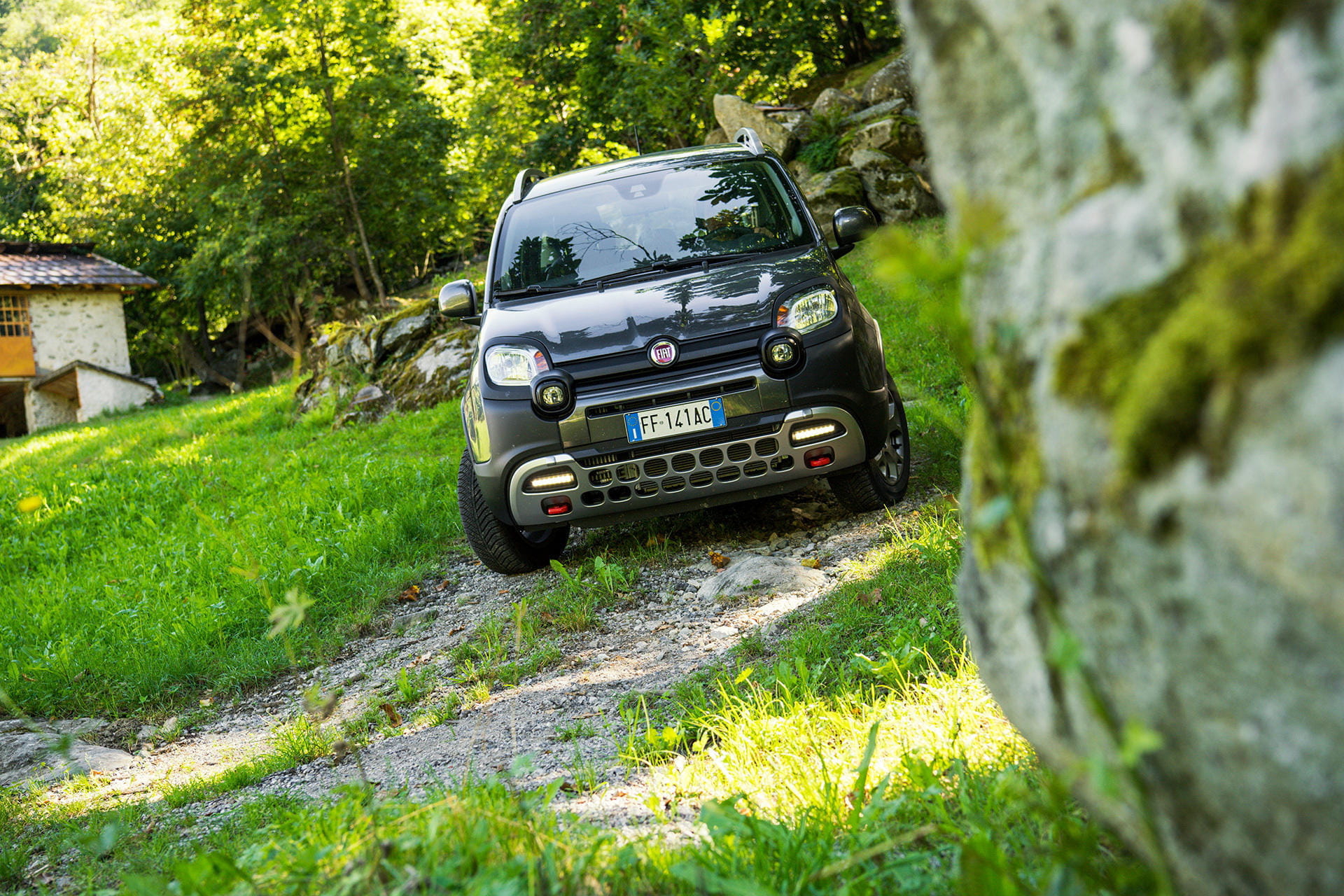 Fiat Panda mostrando su frontal y perfil lateral en entorno natural.