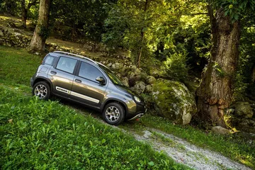 Vista lateral del Fiat Panda en un entorno natural, destacando su diseño compacto.
