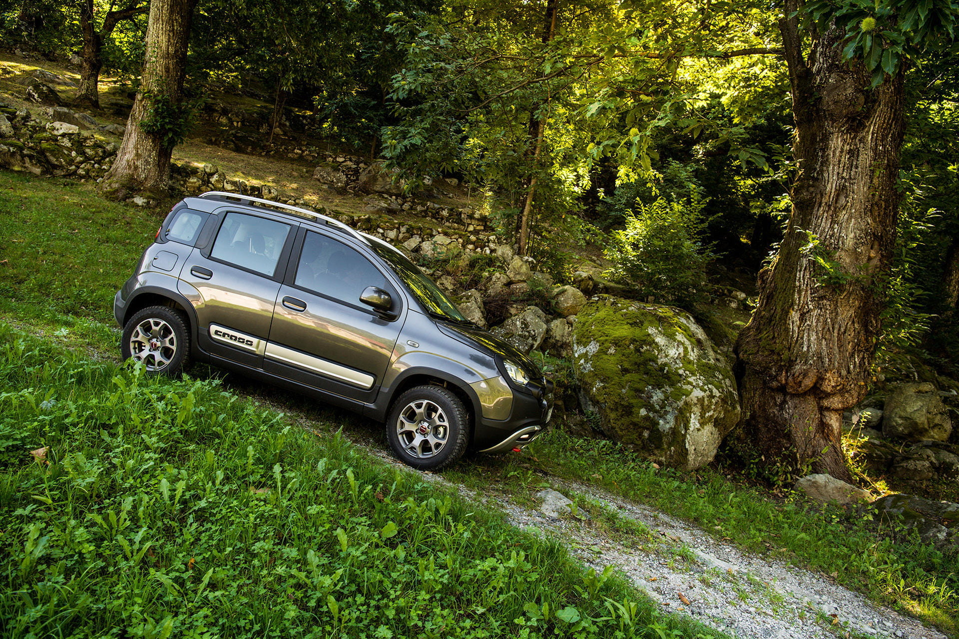 Vista lateral del Fiat Panda en un entorno natural, destacando su diseño compacto.