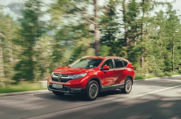 Honda CR-V capturado en movimiento sobre carretera bordeada de árboles.