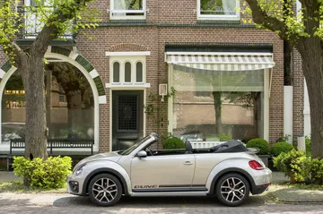 Volkswagen Beetle Beetle Dune 7