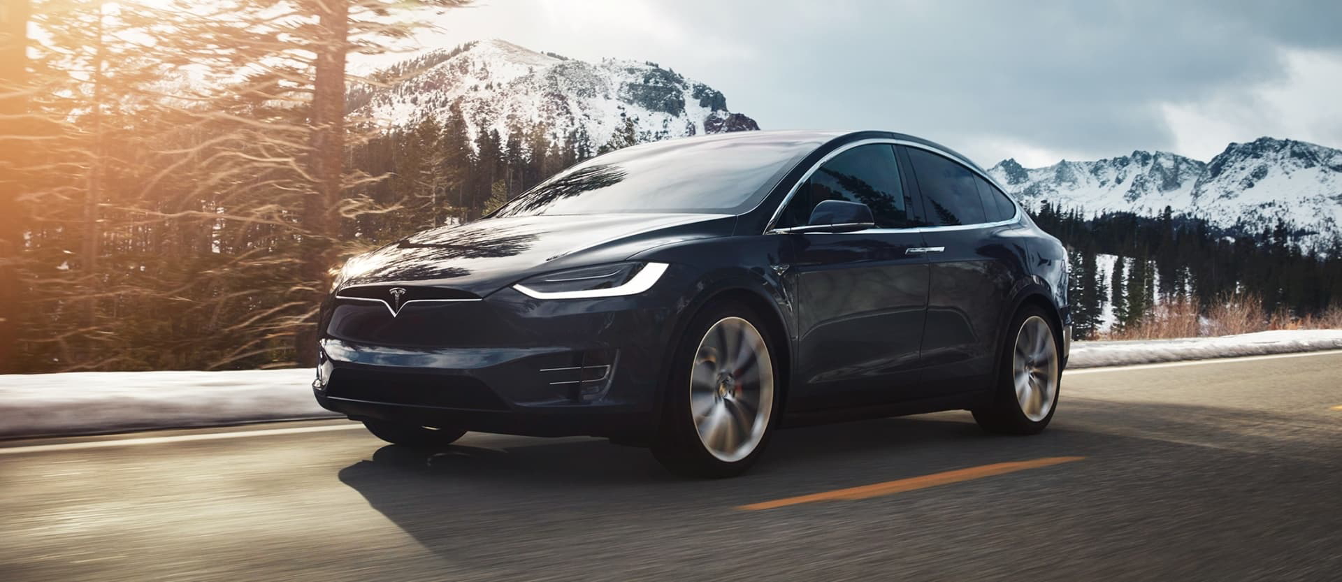 Tesla Model X 19