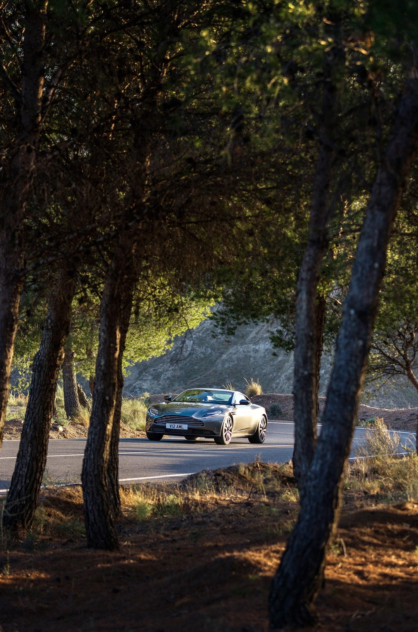 Vista lateral del Aston Martin DB11 en un entorno natural.