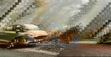 Ford Fiesta capturado en su hábitat natural, luciendo su línea lateral en un bosque neblinoso.