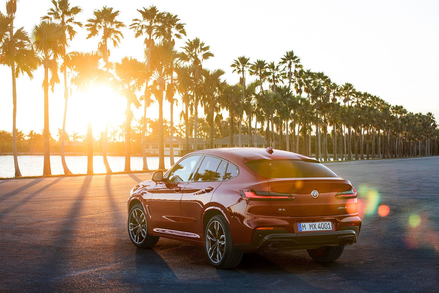 Vista trasera y lateral del BMW X4 al atardecer con un juego de luces y palmeras de fondo.