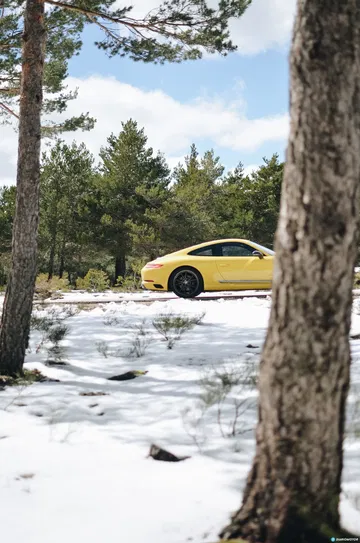 Porsche 911 Carrera 5 22