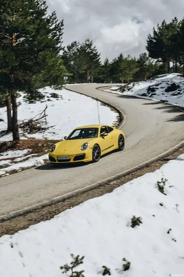 Porsche 911 Carrera 5 24