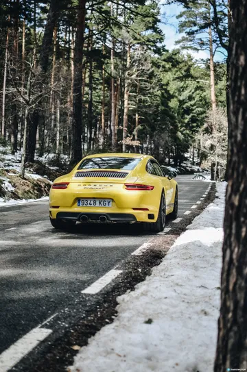 Porsche 911 Carrera 5 29