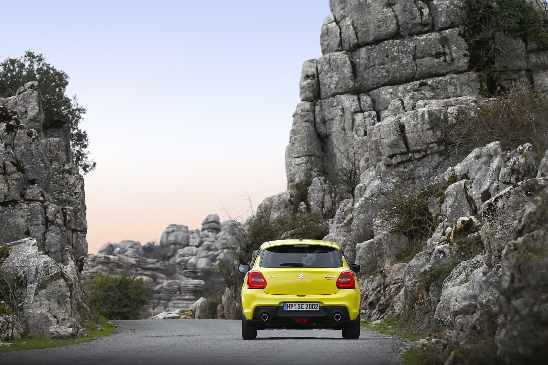 Suzuki Swift Sport Dm 28
