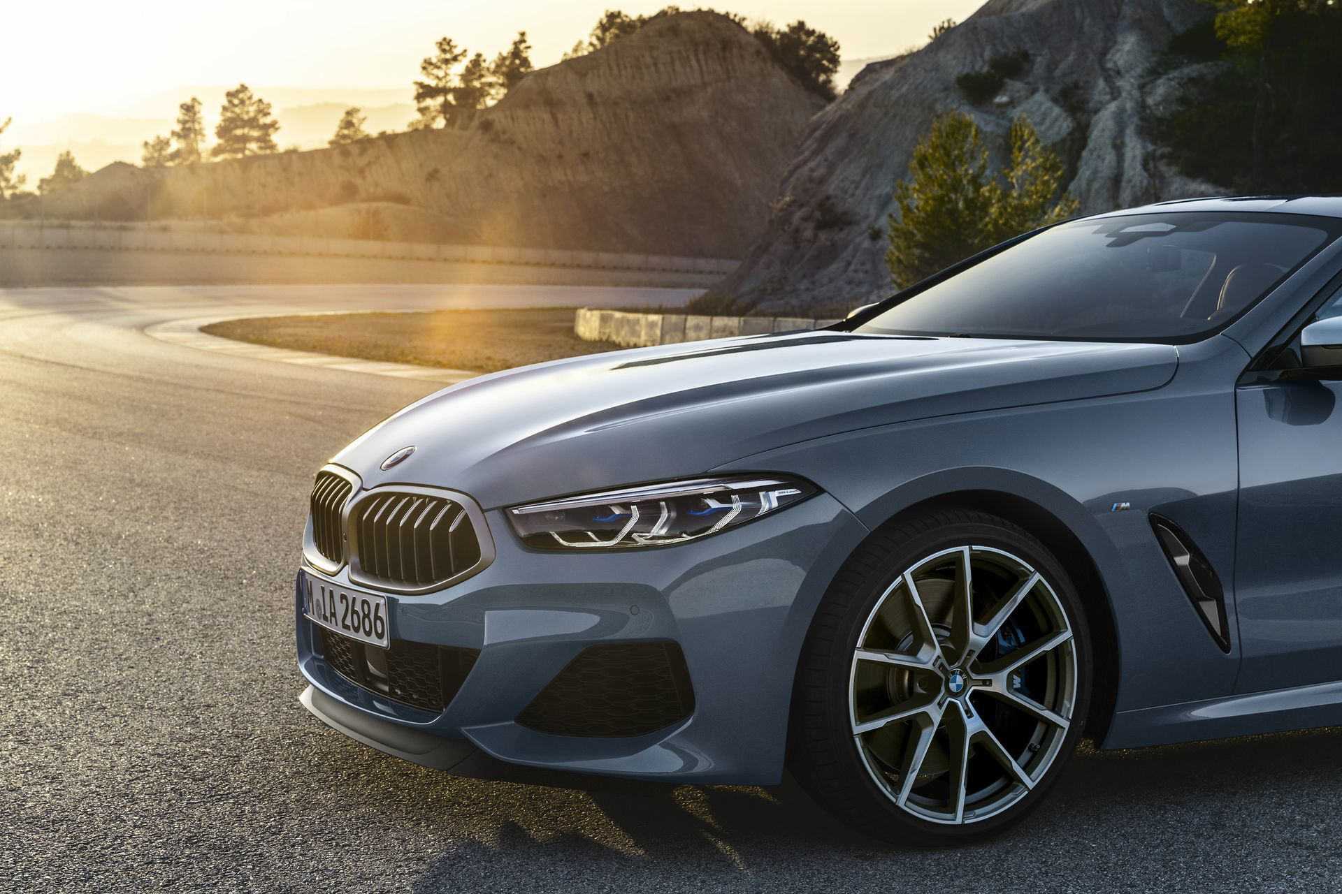 Bmw Serie 8 2019 12