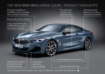 Bmw Serie 8 2019 82