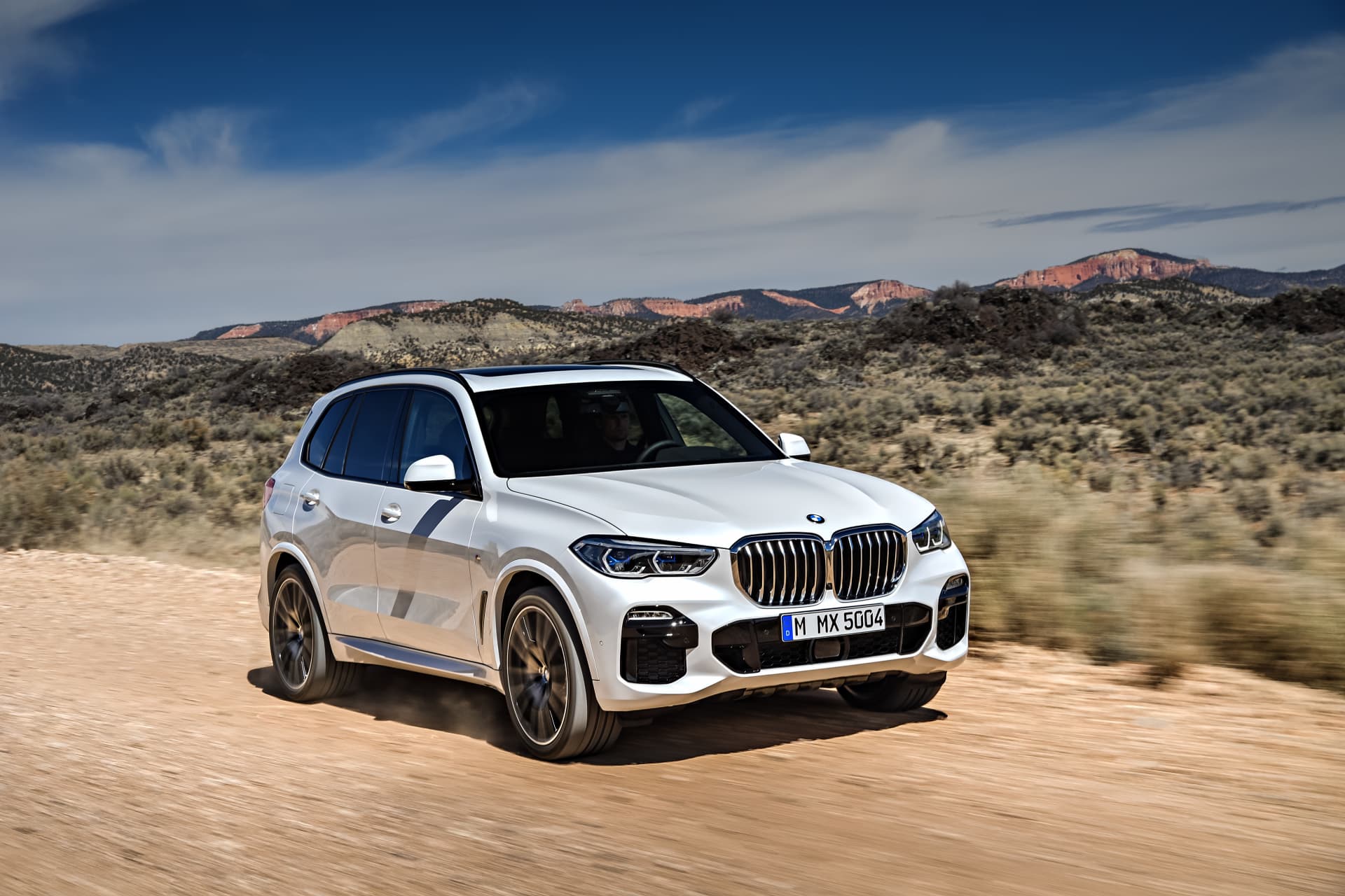Bmw X5 2019 13