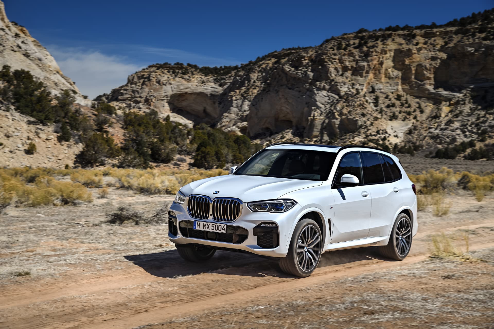 Bmw X5 2019 14