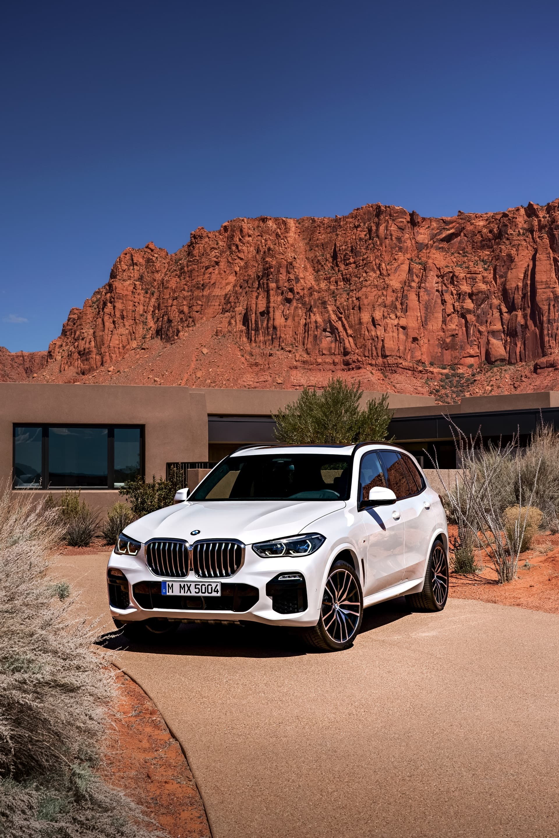 Bmw X5 2019 28