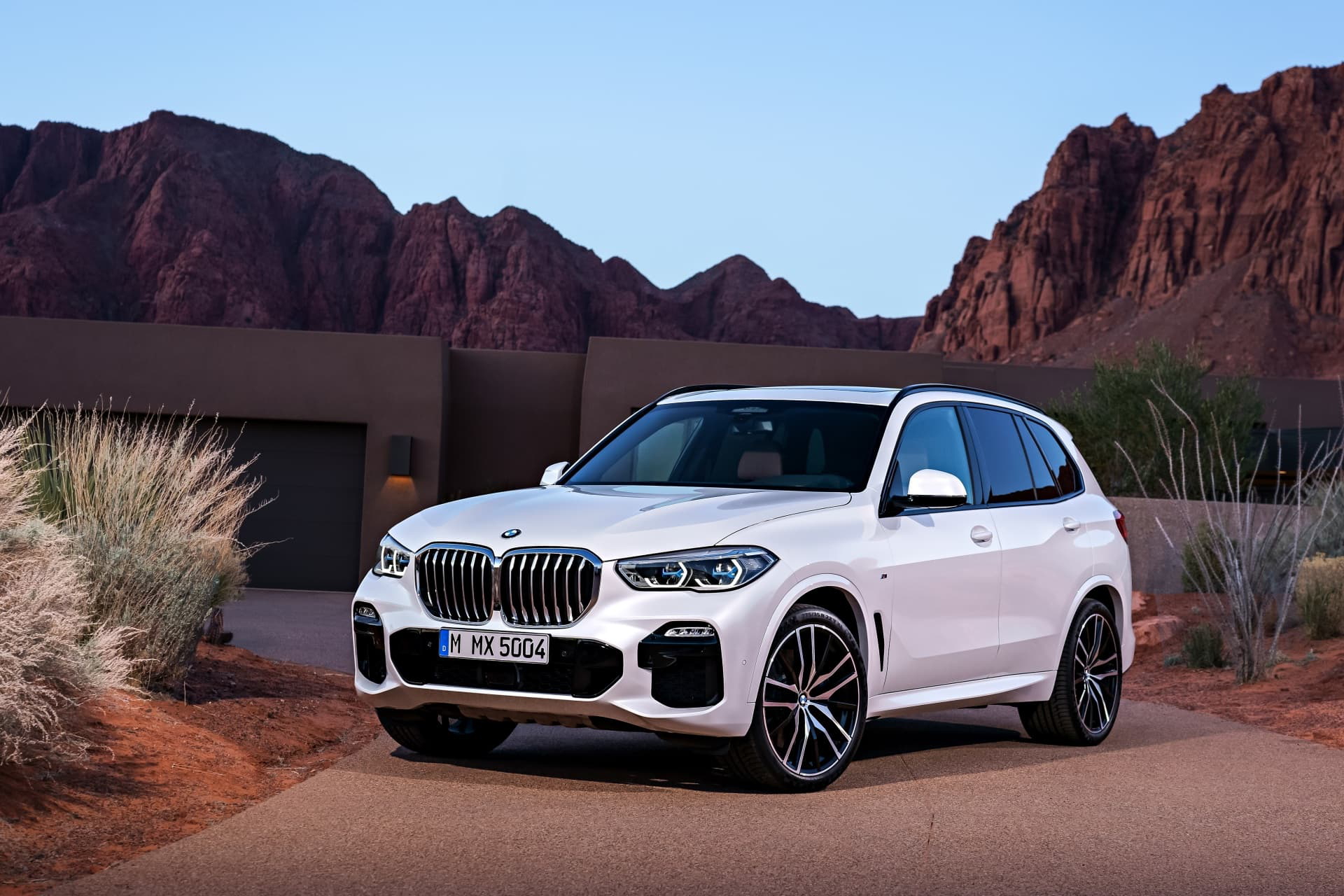 Bmw X5 2019 30