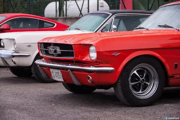 Cabalgada Mustangs 19
