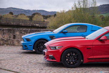 Cabalgada Mustangs 31 