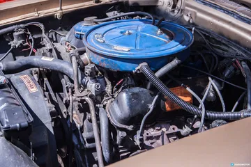 Cabalgada Mustangs 50