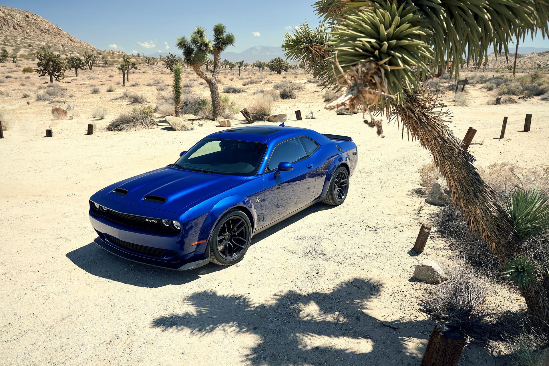 2019 Dodge Challenger Srt Hellcat Widebody