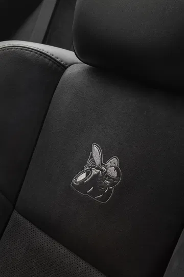 2019 Dodge Challenger R/t Scat Pack Widebody Interior