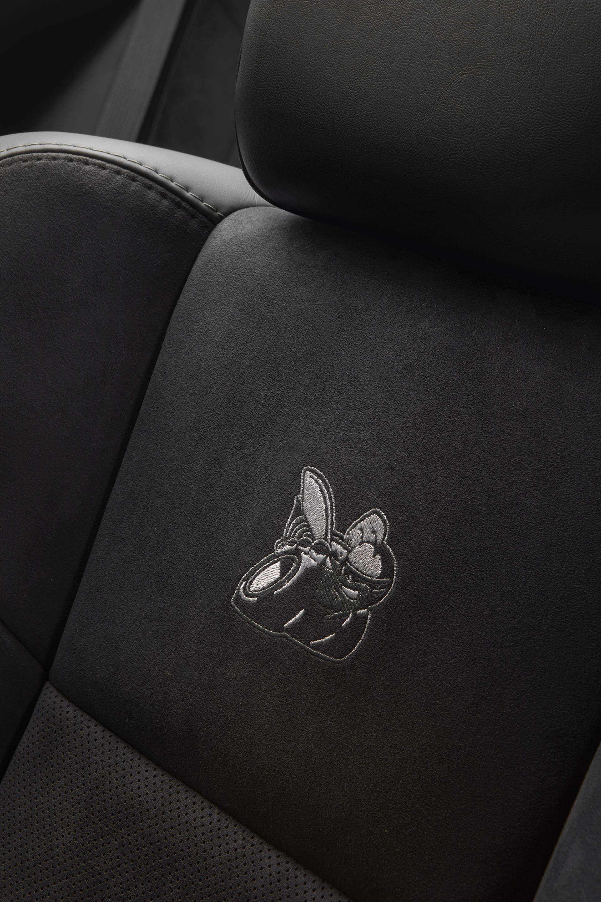 2019 Dodge Challenger R/t Scat Pack Widebody Interior