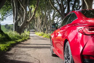 Infiniti Q60 16
