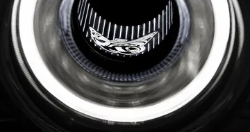 A New Interpretation Of The Legendary Dodge Super Bee Logo, The