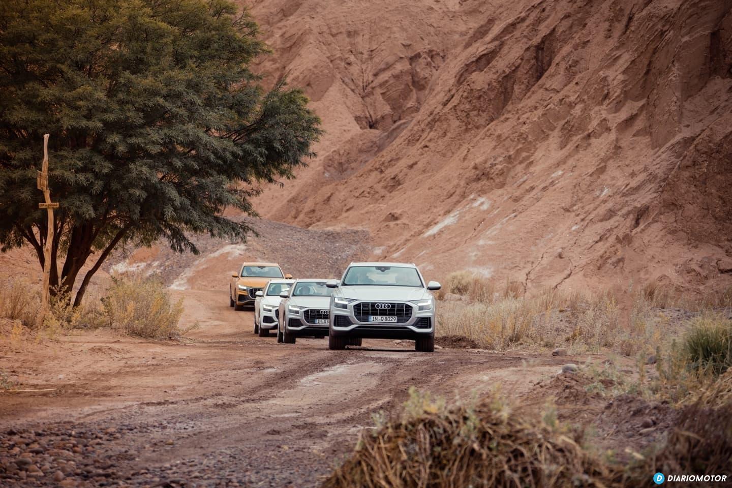 Audi Q8 Prueba 0919 110