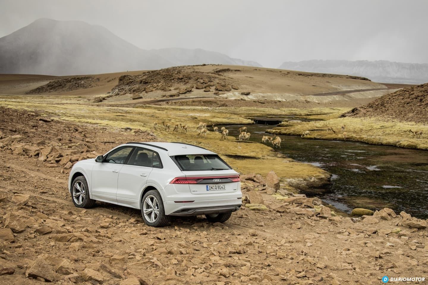 Audi Q8 Prueba 0919 113